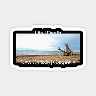 Life | Death DRK Magnet