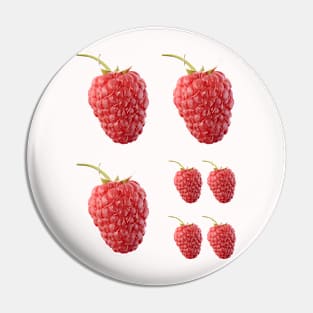 Raspberry Pin