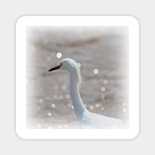 Profile of a Snowy Egret by Debra Martz Magnet