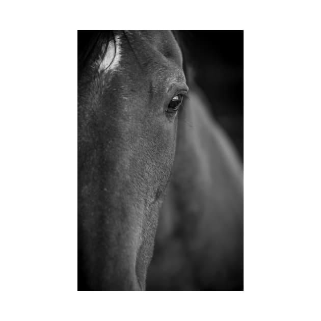 Horse soul by Z Snapper