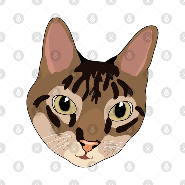 Cute Tabby Cat by crankycranium