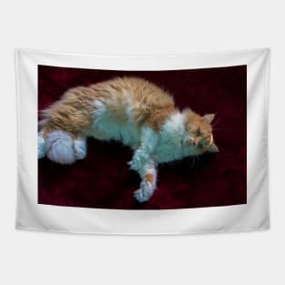 cat lying in red Tapestry