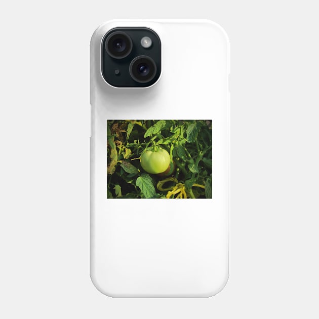 Green Tomato Phone Case by Cynthia48