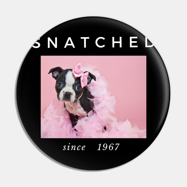 1967 Millennial Snatched Boston Terrier Dog Lover Pin by familycuteycom