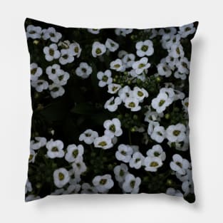 White Alyssum Pillow