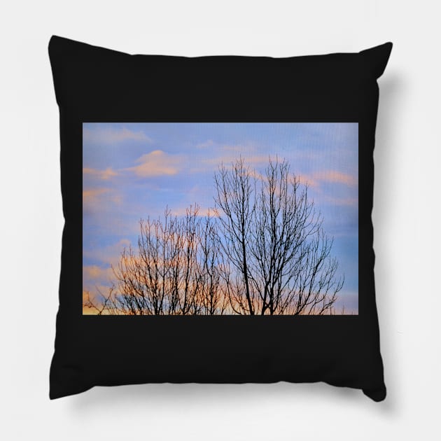 an April evening... Pillow by LaurieMinor