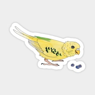 Yellow and green budgerigar Magnet