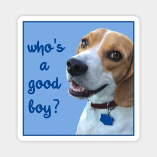 Beagle "Who's a Good Boy?" Magnet