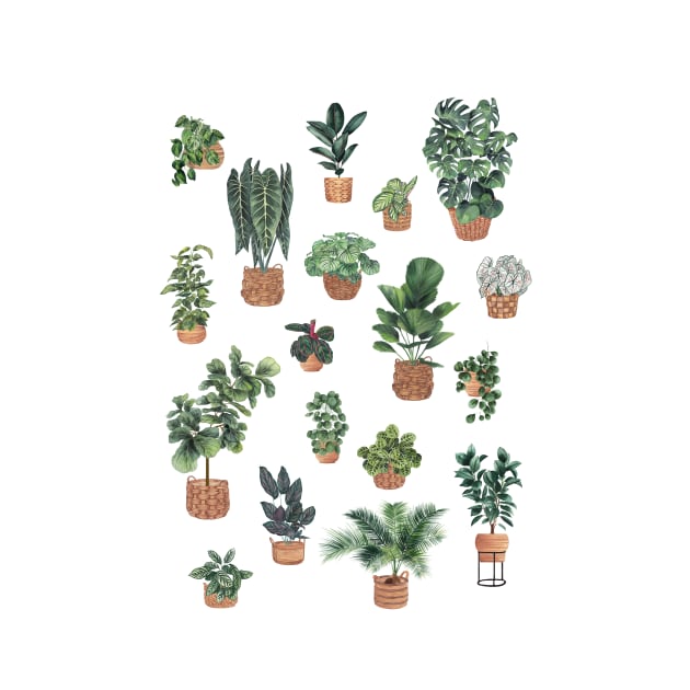 House plants collection by gusstvaraonica