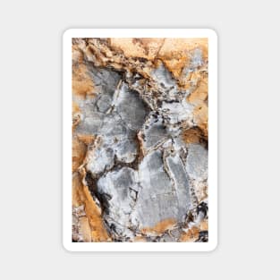 Abstract Rustic Orange Texture Erosion Magnet