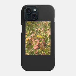 Maple Leaves Phone Case