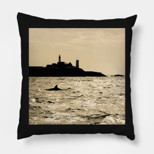 Dauphin in Saint-Mathieu Pillow