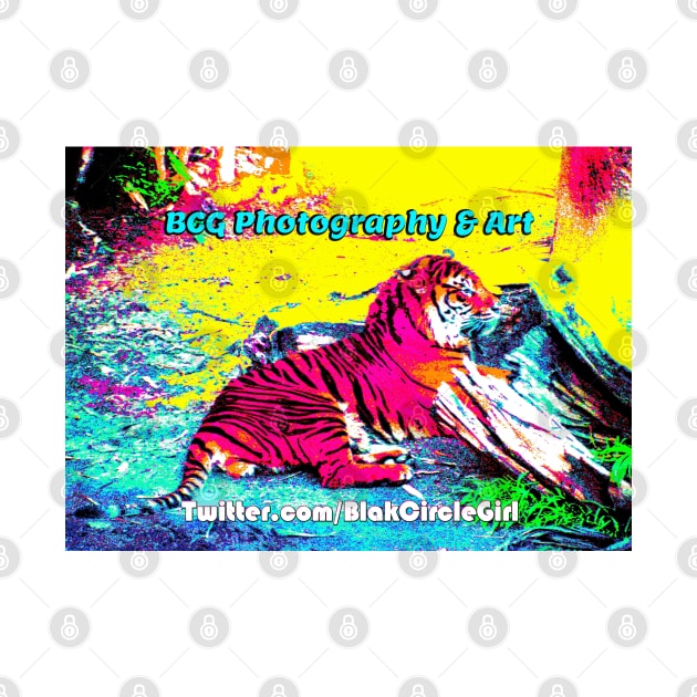 Tiger Bright Special Edition by BlakCircleGirl