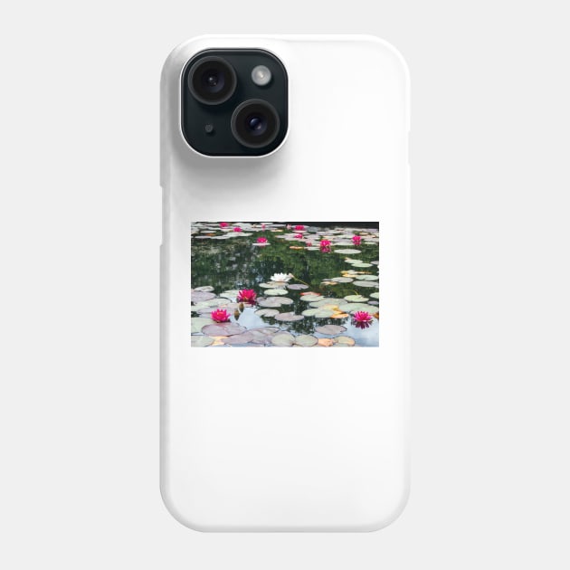 Lily pond Phone Case by HazelWright