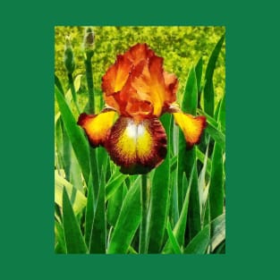 Irises - Spreckles Iris T-Shirt