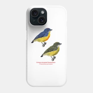 Crimson-breasted Flowerpecker | Prionochilus percussus ⚥ Phone Case