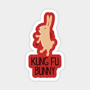 Kung Fu Bunny Magnet