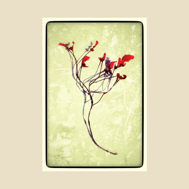 Red flower twig by pvjaffe