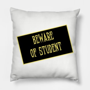 Beware, Beware Pillow