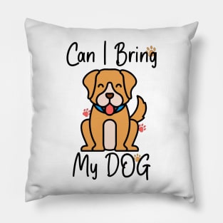 can i bring my dog Pillow