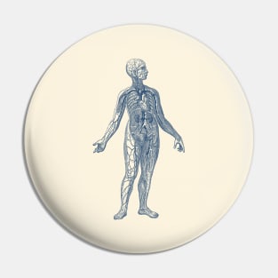 Venous System Diagram - Vintage Anatomy Pin