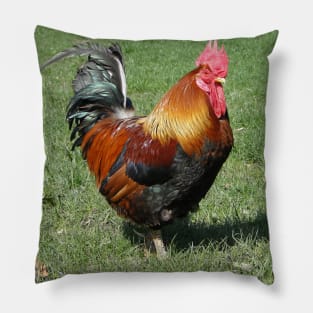 Colourful Cockerel Pillow