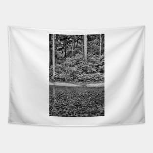 Big Thompson Canyon in Summer Tapestry