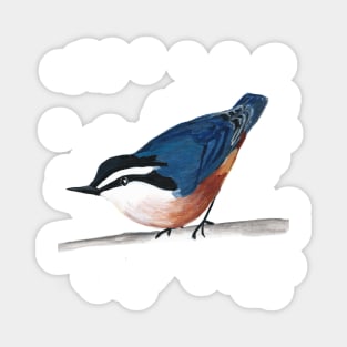 Red-breasted Nuthatch Magnet