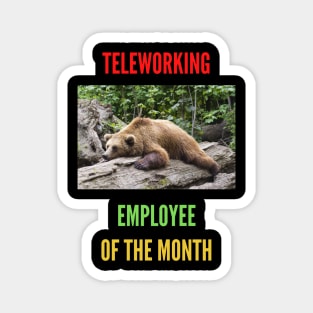 Teleworking - Employee of the Month: The Bear Magnet