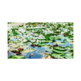 Waterlilies on emerald waters T-Shirt