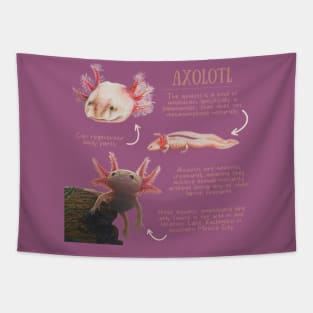 Animal Facts - Axolotl Tapestry
