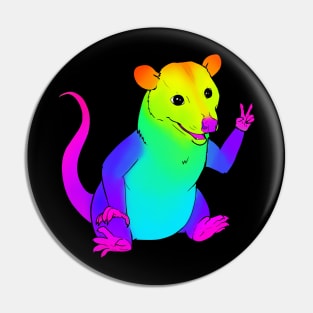 Rainbow Possum Pin