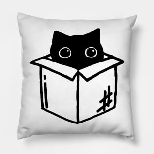 Cat Box Pillow