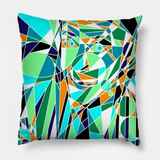 a colorful face Pillow