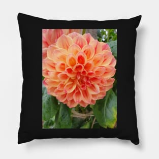 Orange and Red Dahlia Pillow