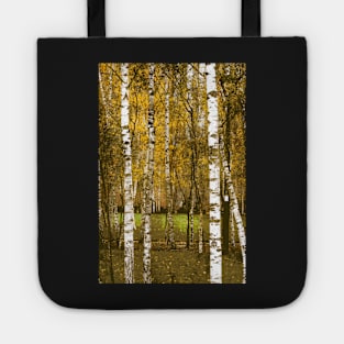 Urban Birches Tote