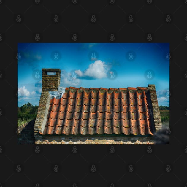 Dutch Roof at Kinderdijk Nederlands by Imagery