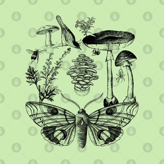 The Cycle of Life - Goblincore Moth and Fungi by Souls.Print