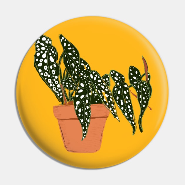 plant mom Pin by bruxamagica