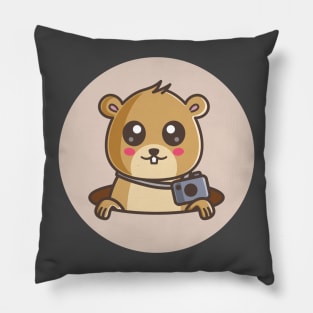 Cute Gopher With A Camera Pillow