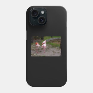 Pink and red flamingo Phone Case