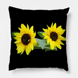 sunflowers, sunflower, sunflowerfield, flowers Pillow