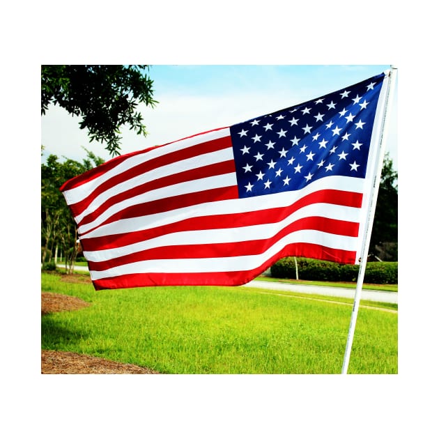American Flag by Cynthia48