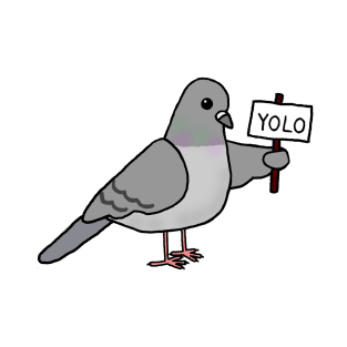 The YOLO Pigeon T-Shirt