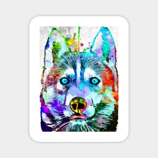 Siberian Husky Grunge Magnet