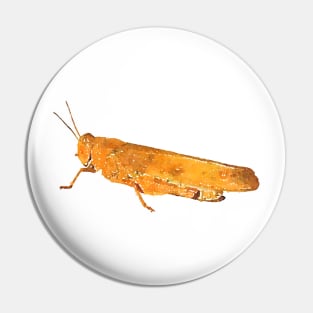 Carolina Grasshopper Locust Bug Pin