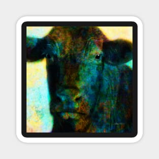 Black Cow Magnet