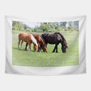 Three horses grazing on pasture Tapestry