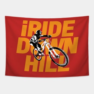 iRIDE DH Tapestry