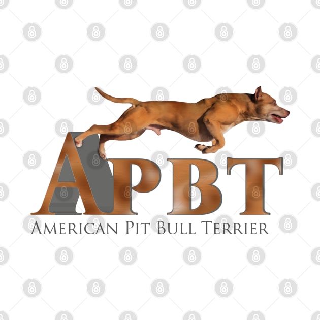 American Pit Bull Terrier - APBT by Nartissima